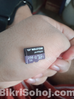 Walton 256Gb Memory Card
